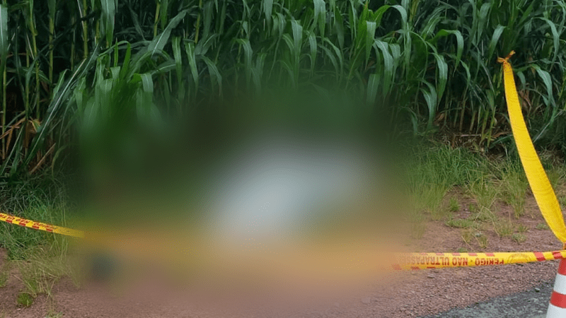 Em trecho sem acostamento, homem morre atropelado após ser atingido por carro em Rio do Cedros