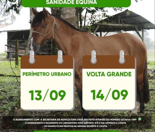 Fique atento às próximas datas de coleta do Programa Sanidade Equina neste mês de setembro!