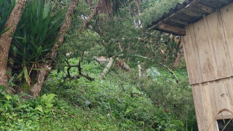 Chuva causa prejuízos no município