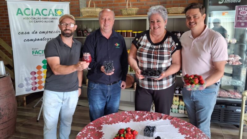 6º Festival de Frutas Vermelhas promete movimentar Campo Alegre nos dias 14 e 15 de dezembro