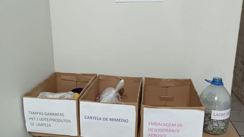 Vereadora Marília Donadeli lidera ações voluntárias para preservação ambiental em Santa Terezinha