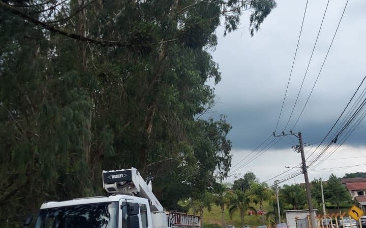 Retirada de árvore na rua Augusto Wunderwald