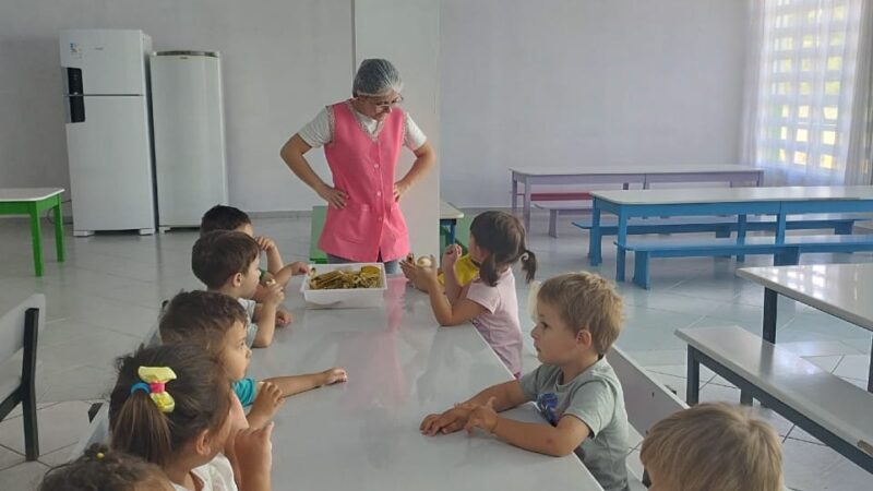 Plantões de atendimento na Educação Infantil
