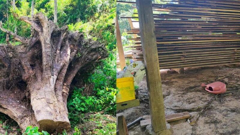 Aumenta tensão em disputa por terras em fazenda Parolin entre Itaiópolis e Santa Terezinha