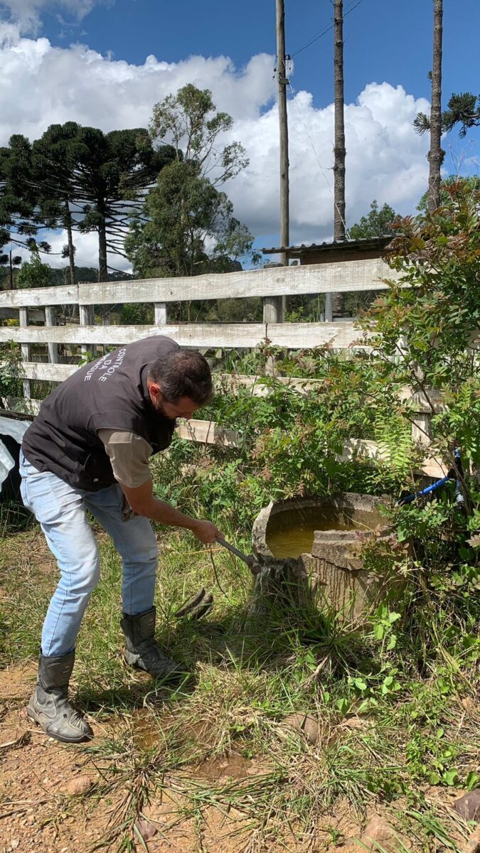 Boletim atualizado sobre a dengue em São Bento do Sul