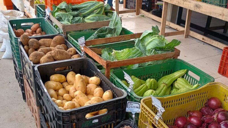 Mais de 4 toneladas de materiais coletadas no Câmbio Verde