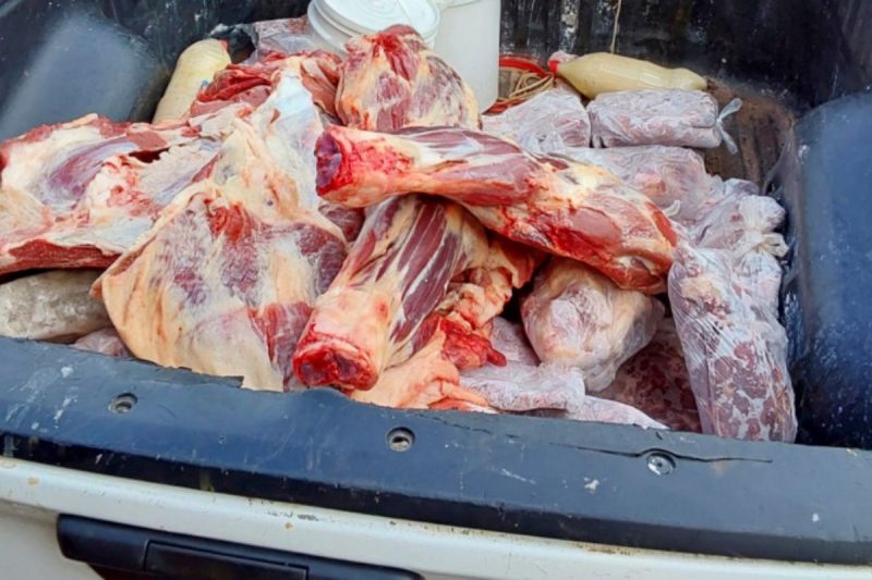 Fiscalização flagra abate clandestino e carnes vencidas e apreende 3,6 toneladas em SC