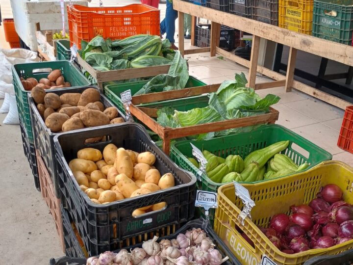 Edição do Câmbio Verde acontece nesta sexta-feira (16)