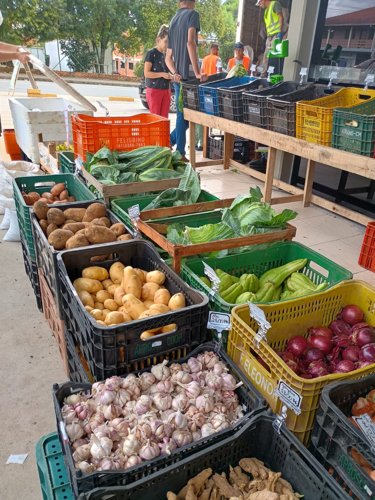 Edição do Câmbio Verde acontece nesta sexta-feira (16)