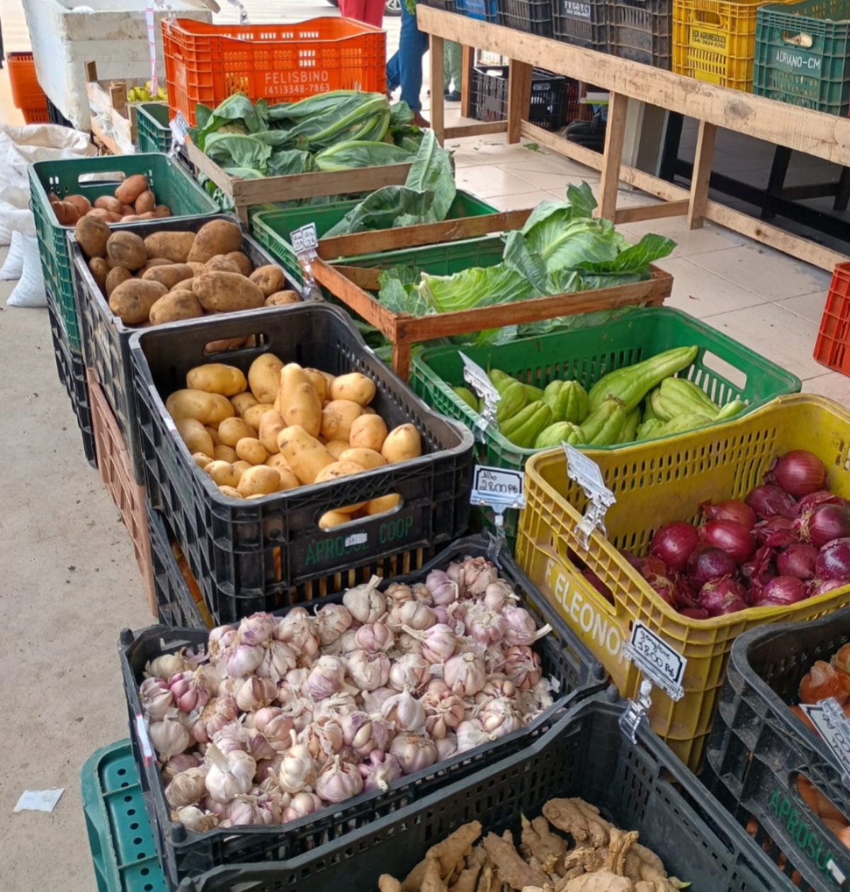 Edição do Câmbio Verde arrecada 2,7 toneladas de recicláveis