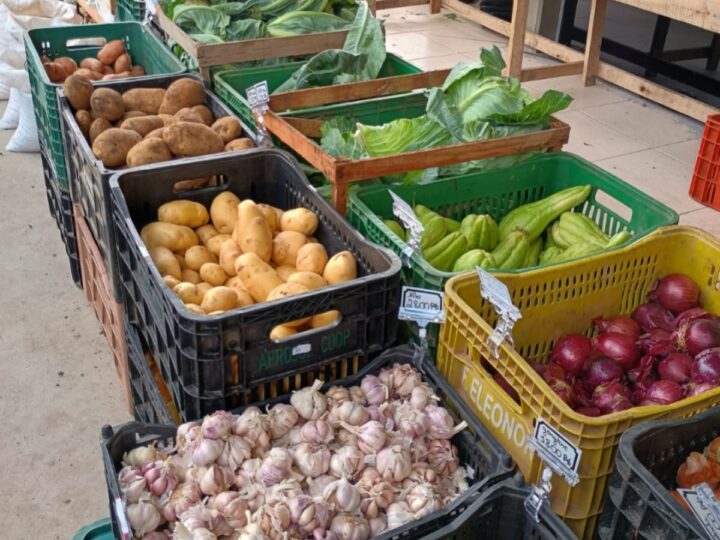 Edição do Câmbio Verde arrecada quase 6 toneladas de recicláveis