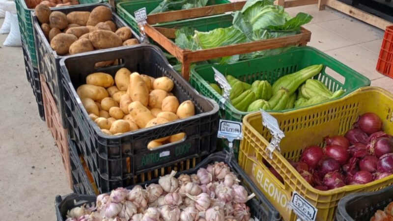 Edição do Câmbio Verde arrecada quase 6 toneladas de recicláveis