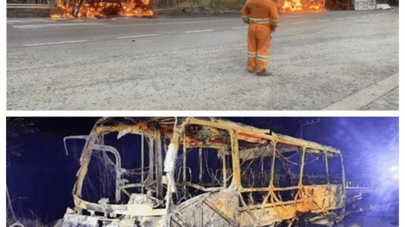 Tragédia na BR-280: duas mulheres morrem em acidente com micro-ônibus em Corupá