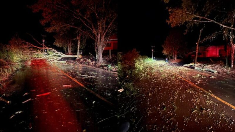 Chuva intensa deixa moradores ilhados e causa prejuízos em São Miguel do Oeste