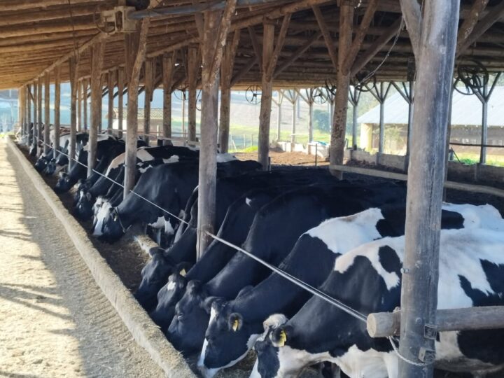 Secretaria de Agricultura em parceria com produtores rurais de o município