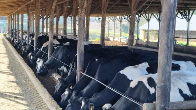 Secretaria de Agricultura em parceria com produtores rurais de o município