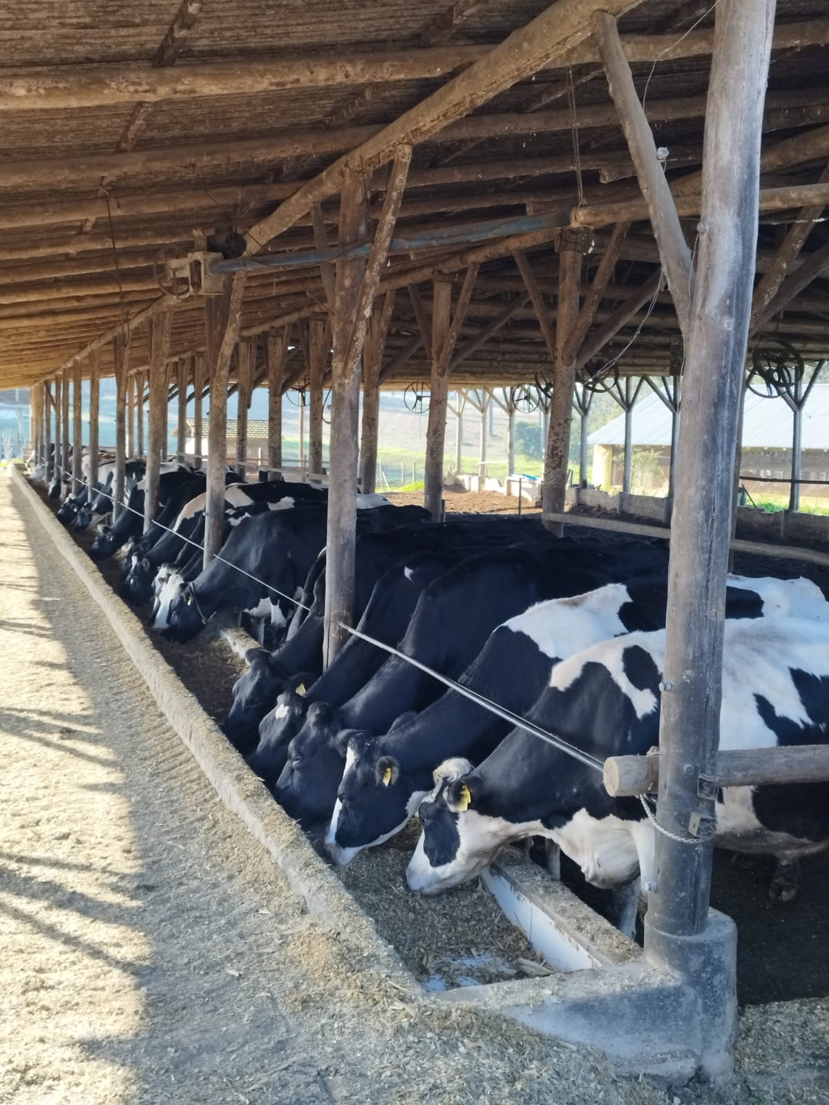 Secretaria de Agricultura em parceria com produtores rurais de o município