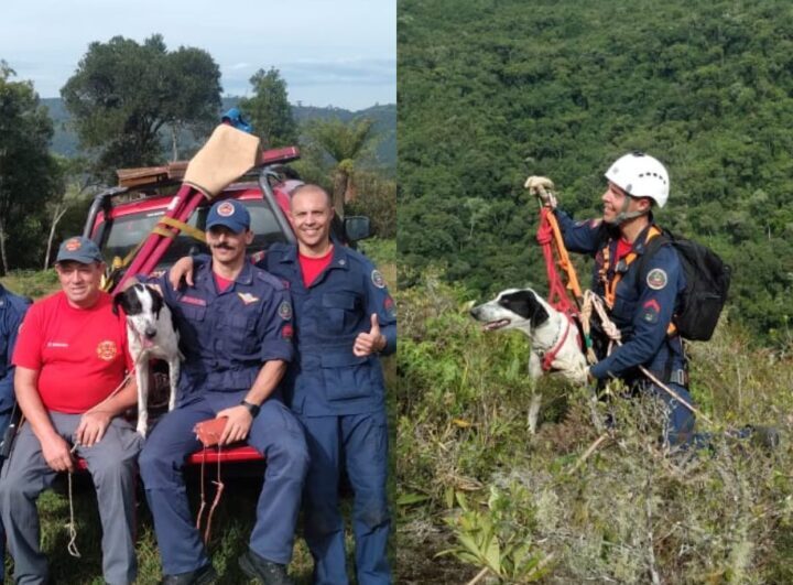 Cachorro perdido há seis dias em penhasco é resgatado por bombeiros na Serra de SC
