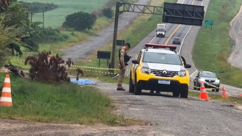 Homem é encontrado morto na marginal da BR-277 em Palmeira