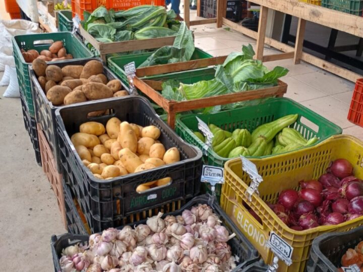 Edição do Câmbio Verde acontece nesta sexta-feira (23)