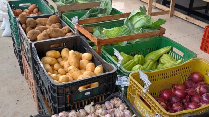 Edição do Câmbio Verde acontece nesta sexta-feira (23)