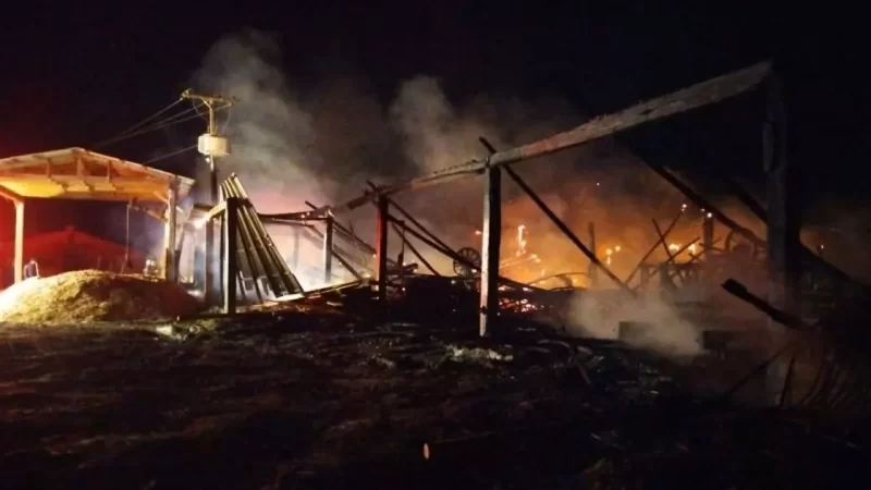 Bombeiros combatem incêndio de grande proporção em madeireira no Extremo Sul de SC