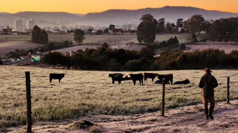 Epagri orienta sobre cuidados com pastagens e rebanhos no inverno