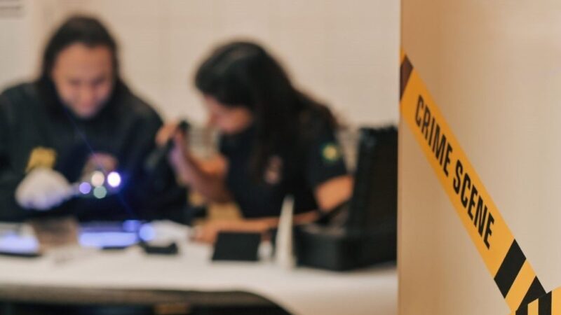 PF prende homem em flagrante com material de abuso sexual infantojuvenil em SC