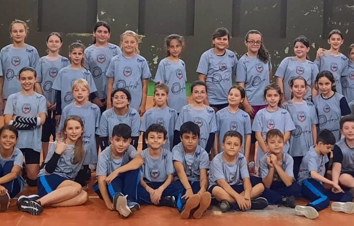 Projeto “Voleibol para Sempre, da Escola para a Vida”: Transformando Jovens e Construindo Cidadãos
