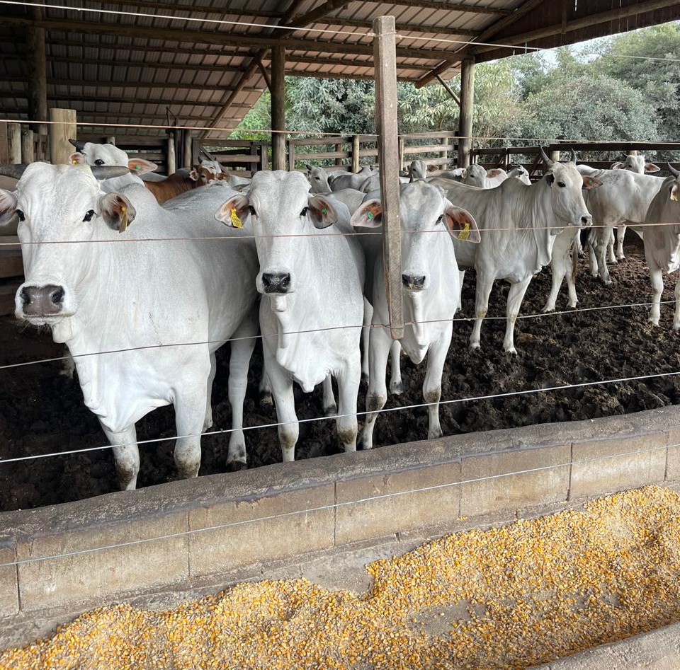 Secretaria de Agricultura e Meio Ambiente divulga balanço das ações realizadas em maio