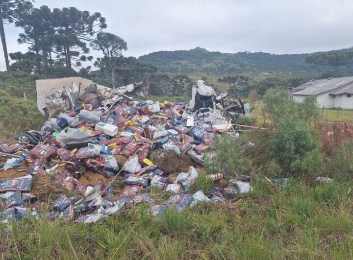Caminhão perde o freio, capota e mata motorista na Serra de SC