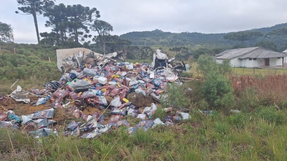 Caminhão perde o freio, capota e mata motorista na Serra de SC