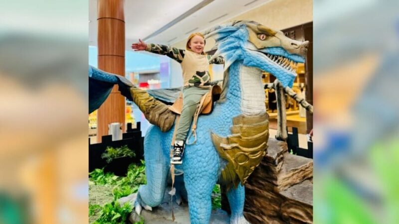 Imersão no mundo dos dragões promete diversão no fim de semana chuvoso em Joinville