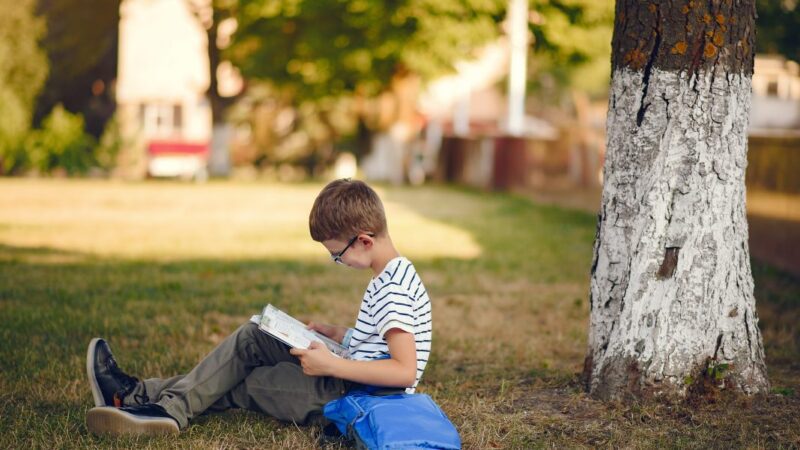 Projeto promove leitura e arte ao ar livre em Canoinhas