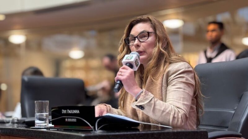 Coordenadora da Bancada Feminina na Alesc repudia novos casos de violência contra mulher em SC