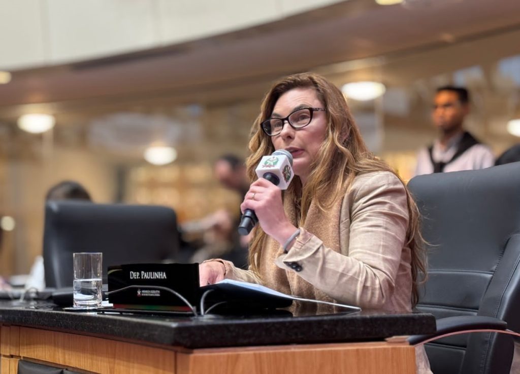 Coordenadora da Bancada Feminina na Alesc repudia novos casos de violência contra mulher em SC