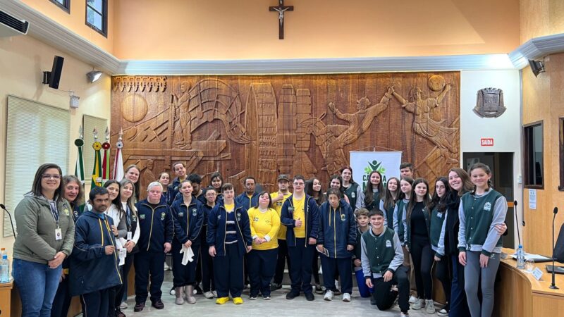 Indicações buscando melhorias na cidade são aprovadas pelos mirins