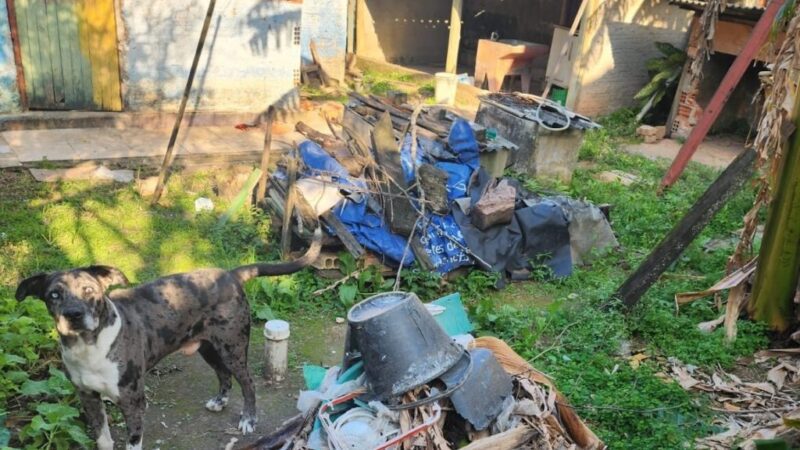 Mulher é presa em flagrante por maus-tratos a cão abandonado em Florianópolis