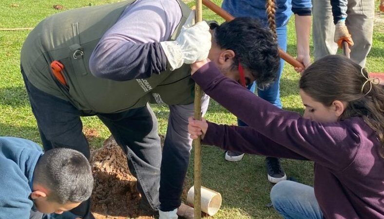 Projeto promove plantio de árvores nativas em Florianópolis