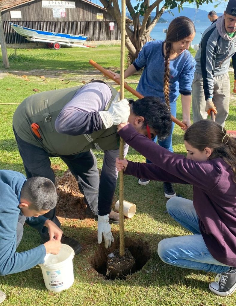 Projeto promove plantio de árvores nativas em Florianópolis