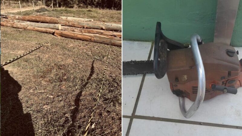 Discussão sobre corte de árvore termina em tentativa de homicídio com motosserra em SC