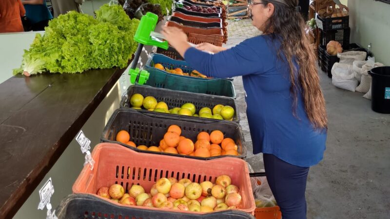Programa Câmbio Verde já arrecadou mais de 88 toneladas de recicláveis em 2025