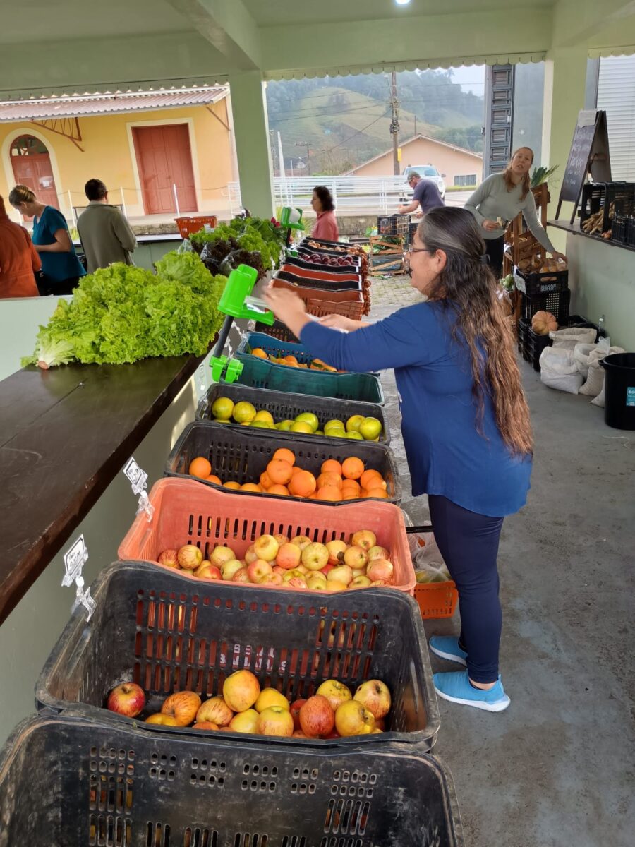 Programa Câmbio Verde já arrecadou mais de 88 toneladas de recicláveis em 2025