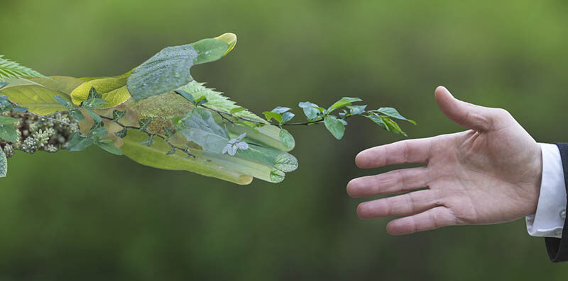 Papanduva assume licenciamento ambiental e acelera desenvolvimento local