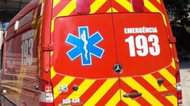 Idosa de 67 anos é atacada por cachorro em Tijucas