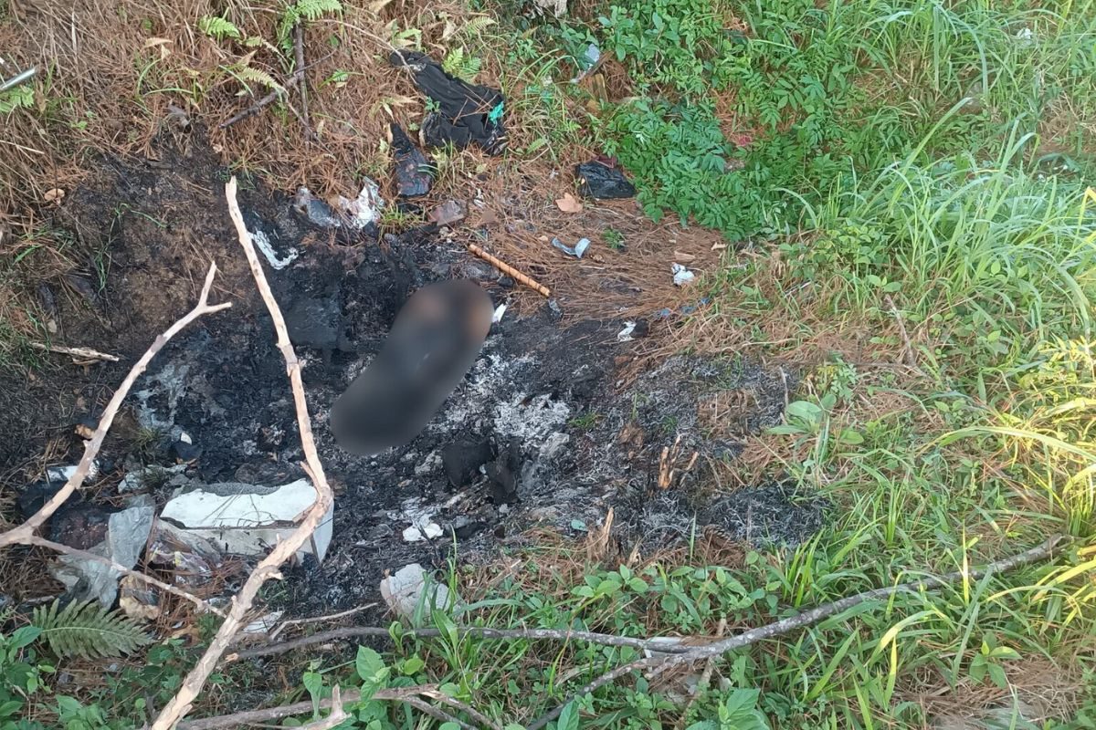 “Crueldade”: Cachorro é queimado e fogo se alastra em área de vegetação em SC