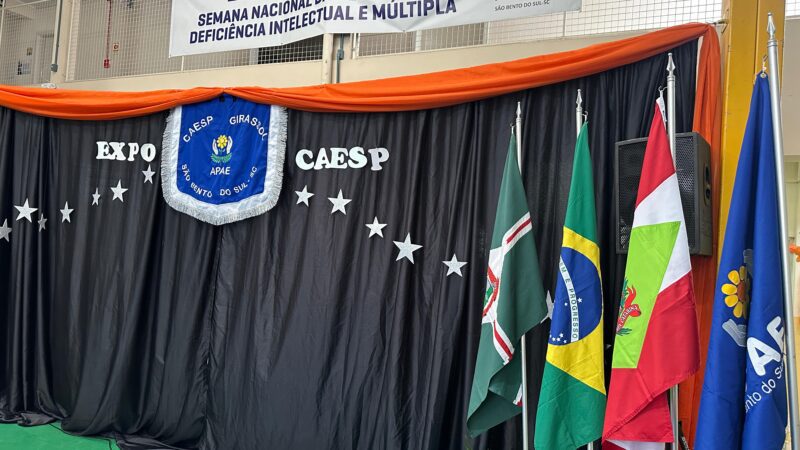 Semana da Pessoa com Deficiência Intelectual e Múltipla é marcada por exposição na Apae de São Bento do Sul