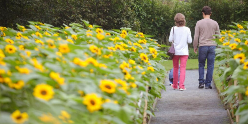 Agenda Cultural movimenta Joinville com dança, música, feiras e exposições
