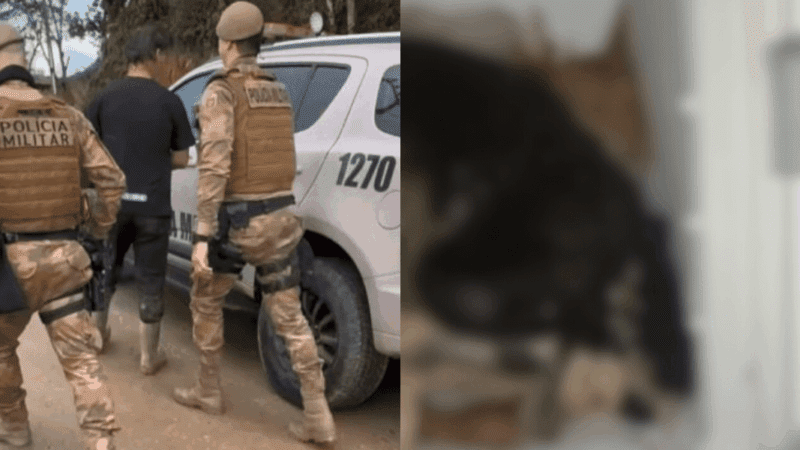Defesa de protetor de animais preso em Biguaçu explica presença de cães congelados em freezer