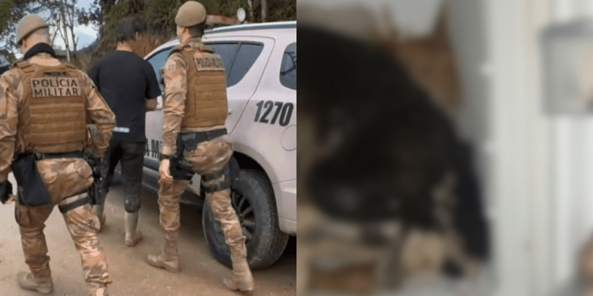 Defesa de protetor de animais preso em Biguaçu explica presença de cães congelados em freezer